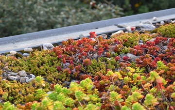 the cost of Ravensmoor green roof installation