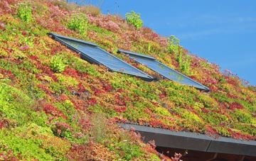 Ravensmoor living roof systems